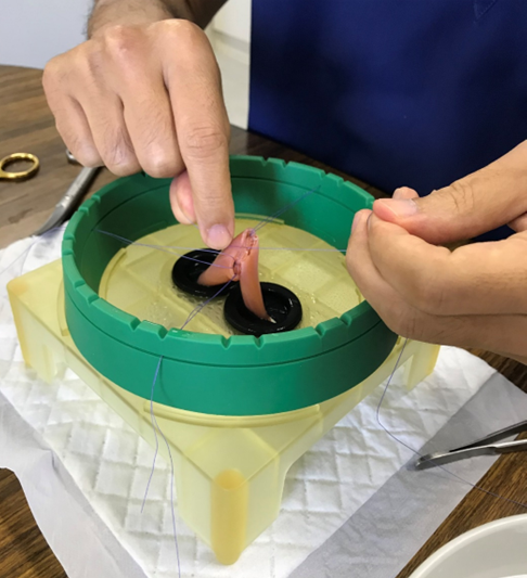 実際のトレーニングの様子 実際のトレーニングの様子